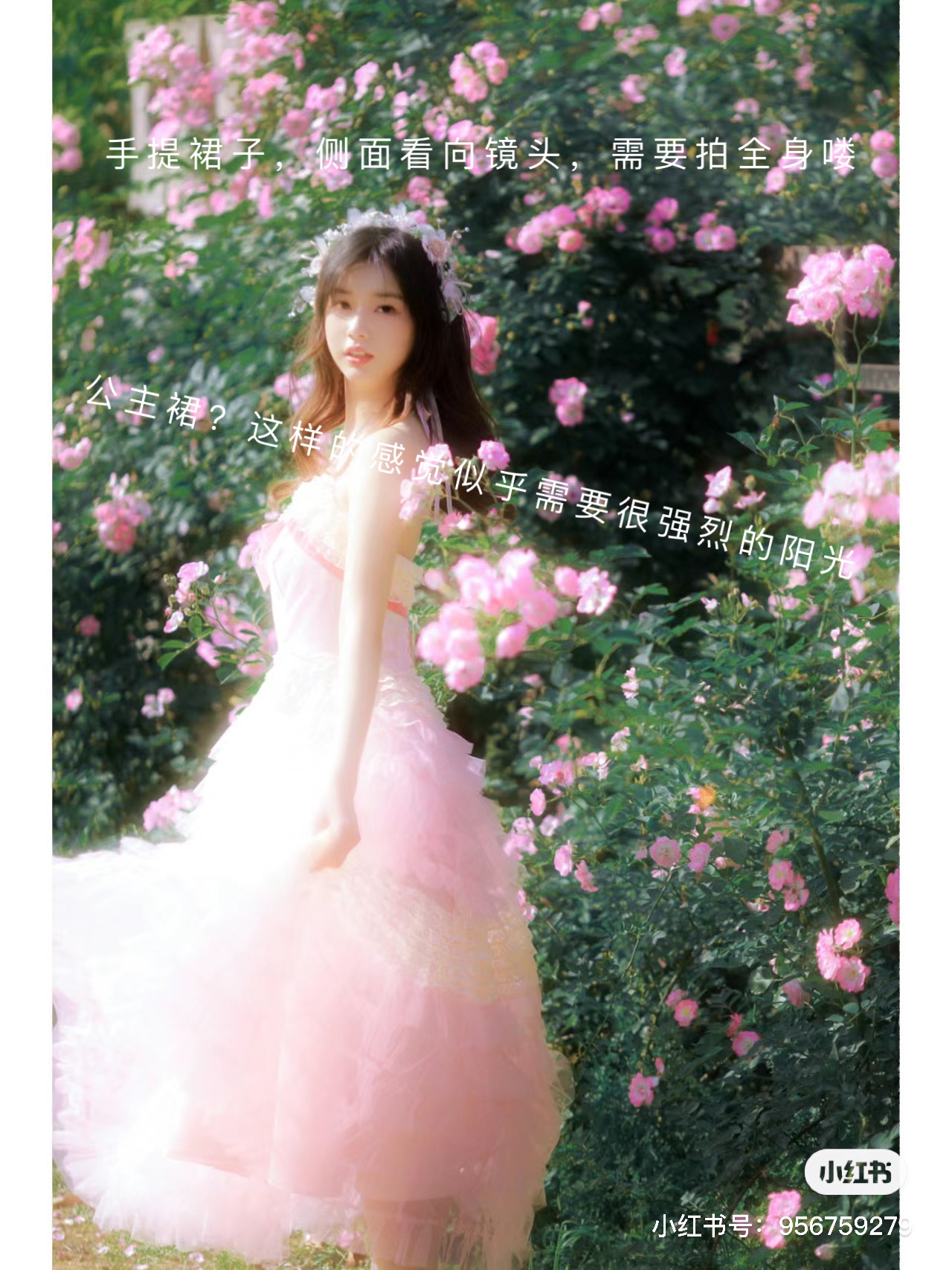 image-20240419075111894